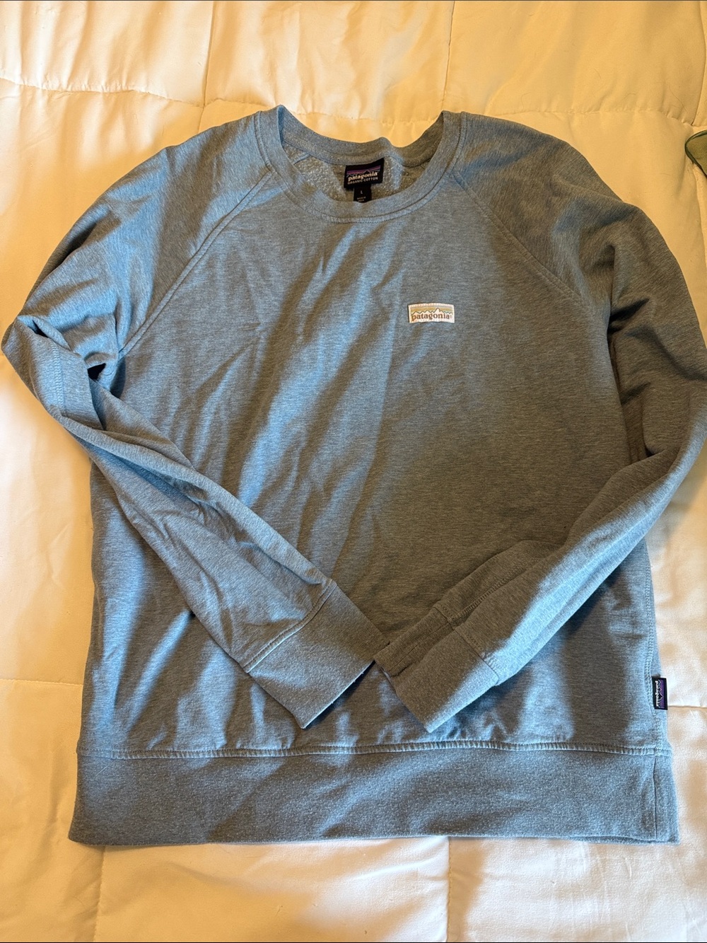 Patagonia women’s Crewneck Sweatshirt - Light Blue